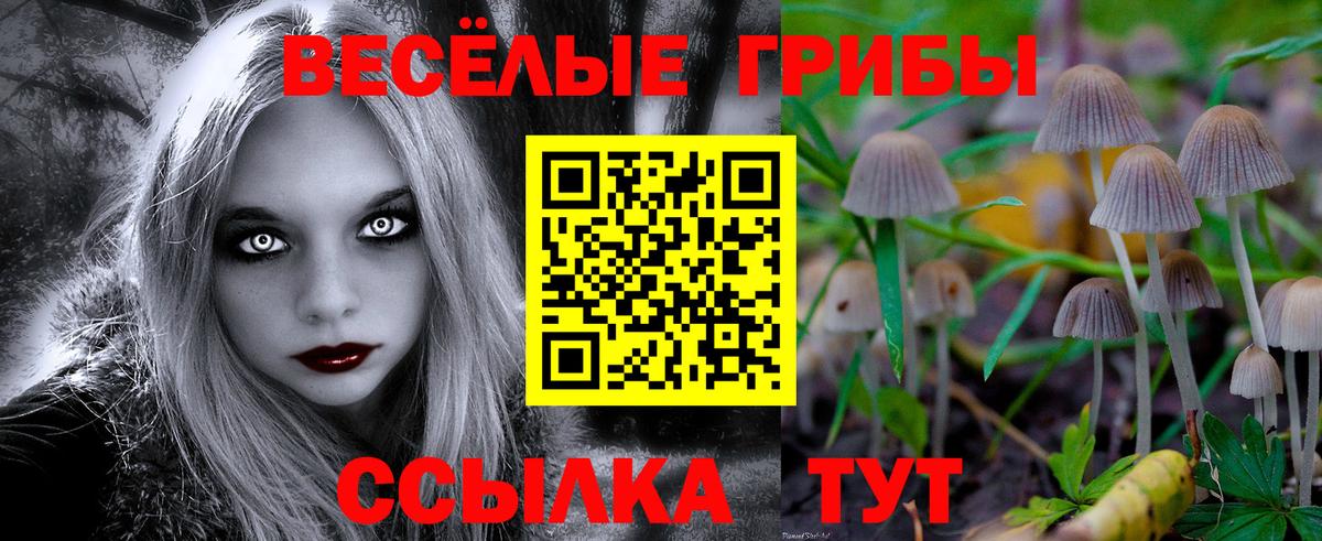 Юрга  продажа наркотиков  Псилоцибиновые грибы Magic Shrooms  Вход с VPN  Псилоцибиновые грибы прущие грибы 